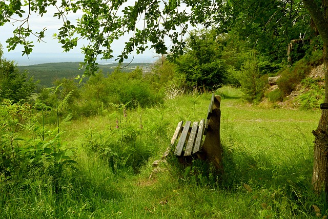 在家中供奉 在家中供奉
