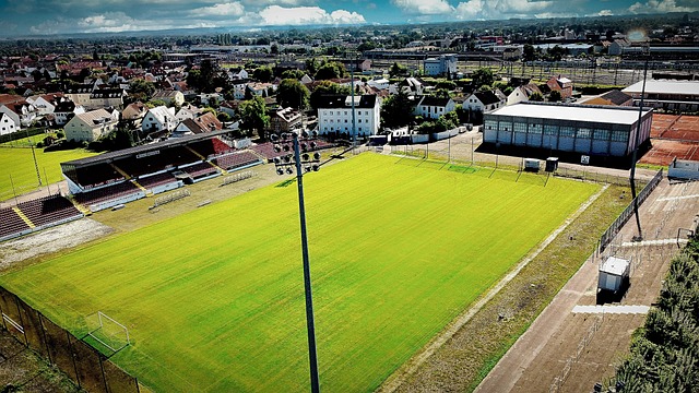 应避开扫墓 应避开扫墓