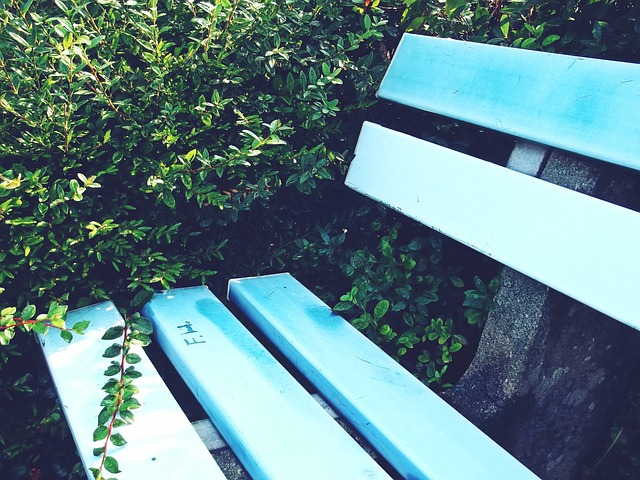 更为未来的 更为未来的