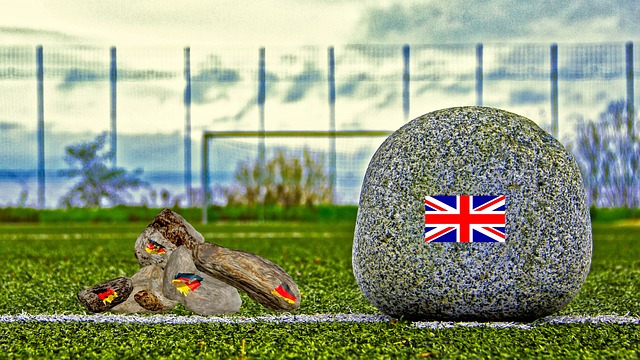 不仅是为了 不仅是为了