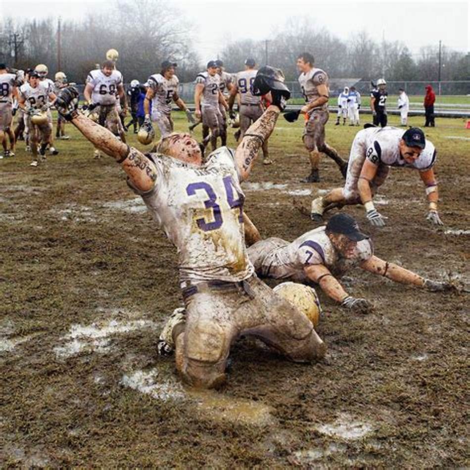 来了新的思 来了新的思