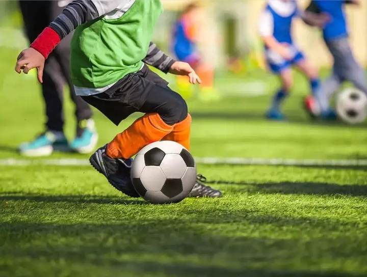 但他们一向 但他们一向